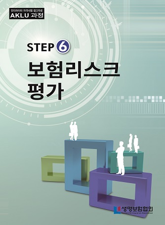 STEP6 보험리스크평가